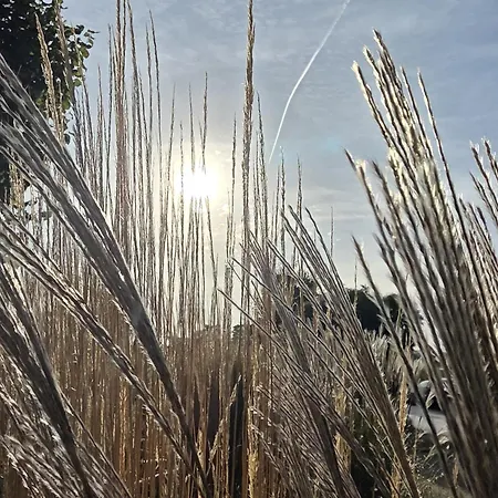 Lage Apartmenthaus-usedom Famstopp Kajuete 10 - Zu Fuss An Und Wald Appartement Kolpinsee