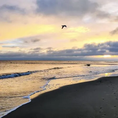 Appartement Lage Apartmenthaus-usedom Famstopp Kajuete 10 - Zu Fuss An Und Wald Kolpinsee